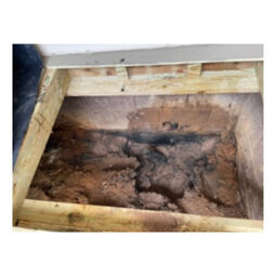 Before & After Sewage Cleanup in Richmond, VA