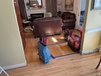 Mold Removal in Chesterfield by All Dry Services of Richmond