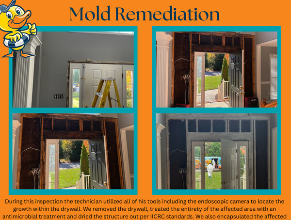 Mold Remediation in Chesterfield, VA (1)